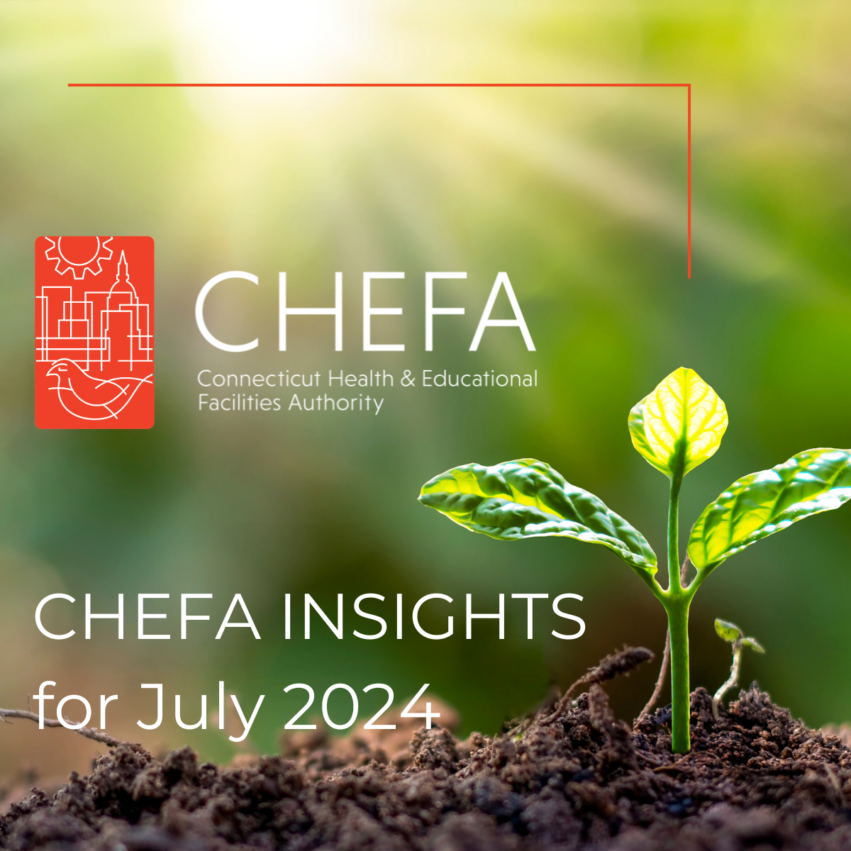 Small plant growing out of the ground with sunlight streaming from the background. CHEFA logo is overlaying the image, along with CHEFA Insights for July 2024