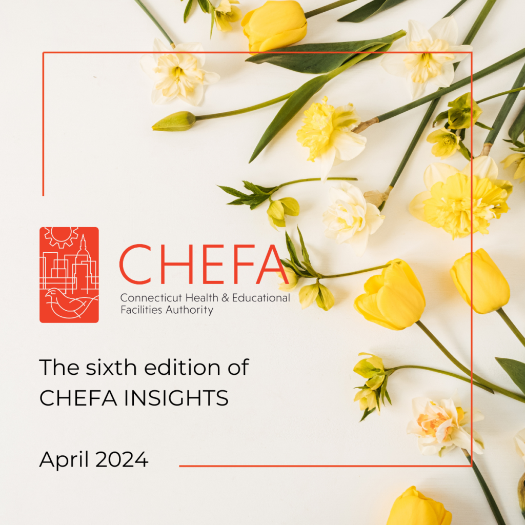 Cover photo for the CHEFA Insights April 2024 edition with tulips and other spring flowers